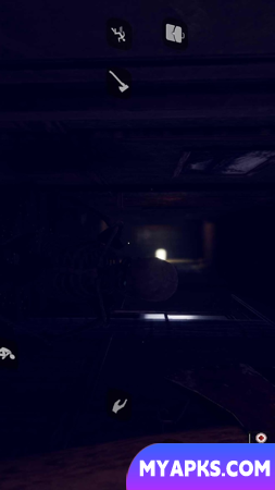The Shadows In the dark