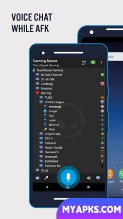 TeamSpeak 3 - Voice Chat Software