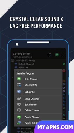 TeamSpeak 3 - Voice Chat Software