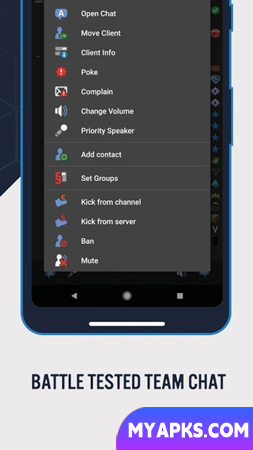 TeamSpeak 3 - Voice Chat Software