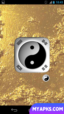 eChing - electronic I Ching