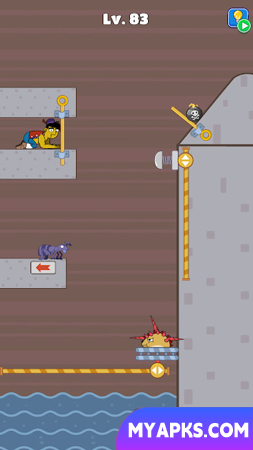 Prison Escape: Pin Puzzle