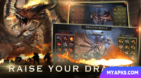 Dragon Reborn