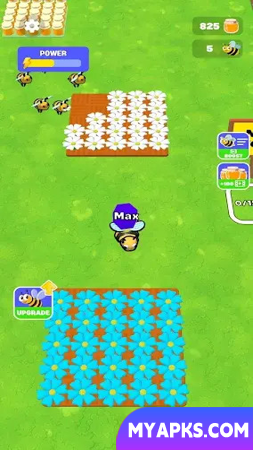Bee Colony