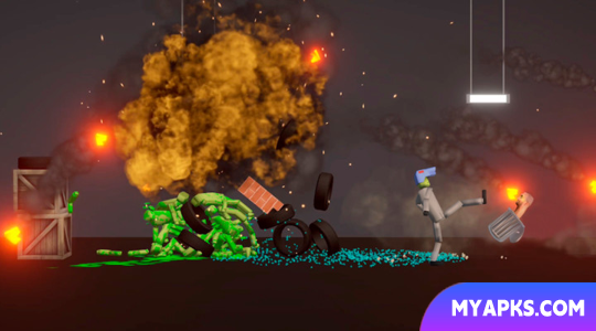 Last Play: ragdoll sandbox