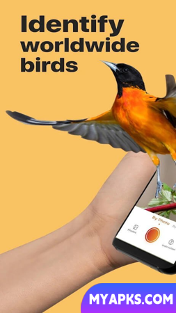 Picture Bird - Bird Identifier