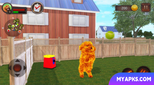 Teddy Dog Simulator