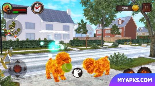 Teddy Dog Simulator