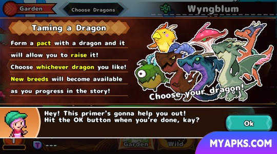 Destination: Dragons!
