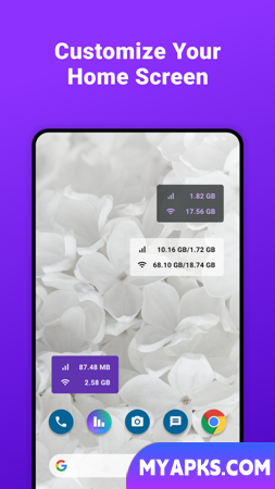 Data Usage Manager & Monitor