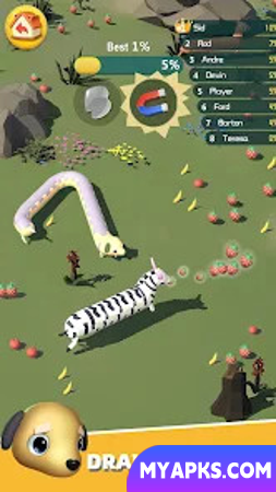 Snake.Zoo: io Snake Worm Game