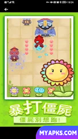 Flower vs Zombie War