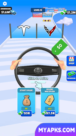 Steering Wheel Evolution