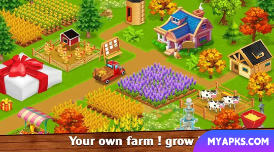 Royal Farm