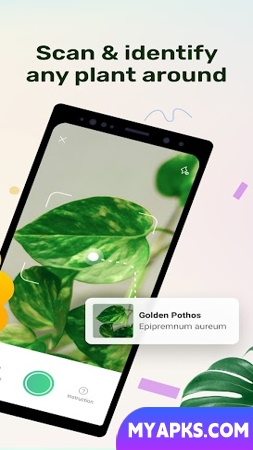 Plant Parent: Plant Care Guide 