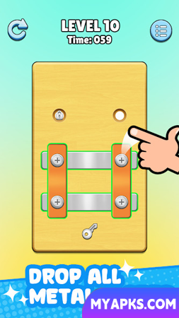 Screw Master: Pin Puzzle
