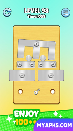 Screw Master: Pin Puzzle