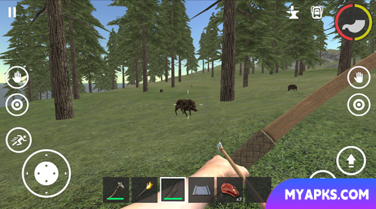 Forest Survival