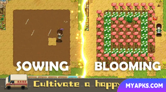 Harvest Town