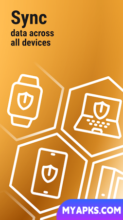 Password Manager SafeInCloud 2 
