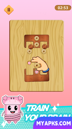 Wood Nuts Bolts Puzzle