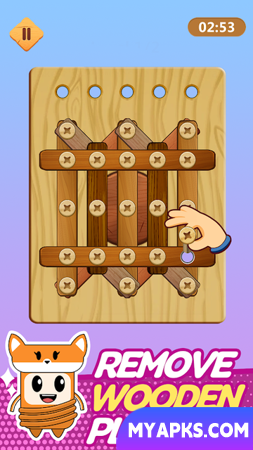 Wood Nuts Bolts Puzzle