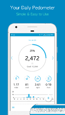 Accupedo Pedometer