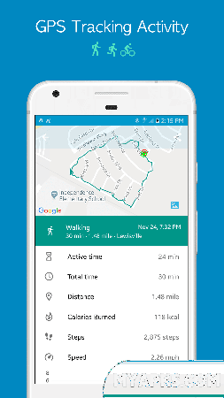 Accupedo Pedometer