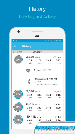 Accupedo Pedometer