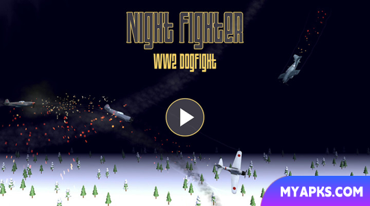 Night Fighter: WW2 Dogfight