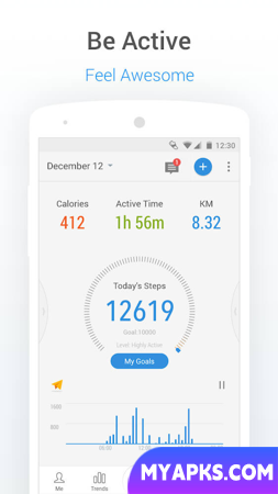 Pacer Pedometer