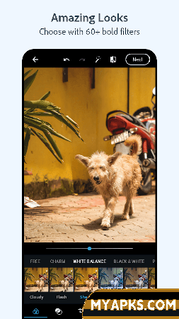 Photoshop Express