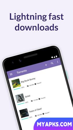 BitTorrent