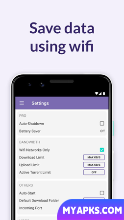 BitTorrent