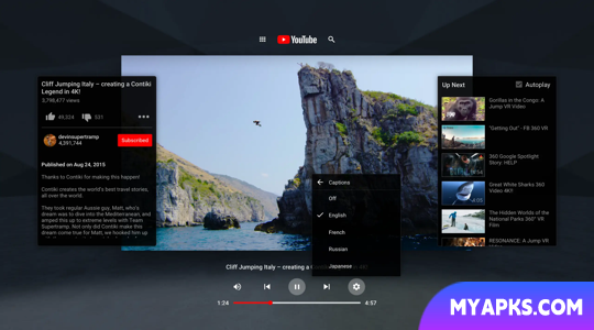 Youtube Lite