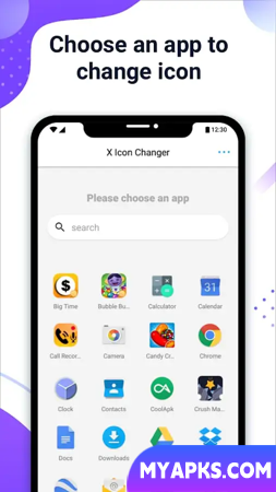 X Icon Changer