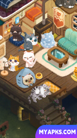 Secret Cat Forest 