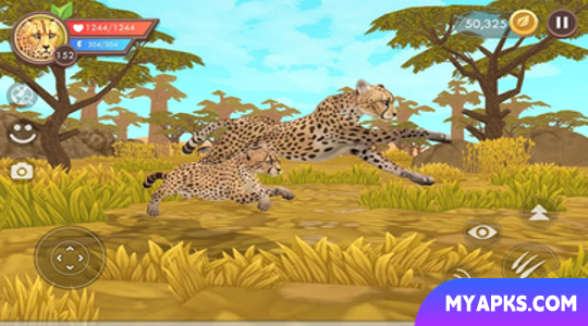 WildCraft Animal Sim Online 3D