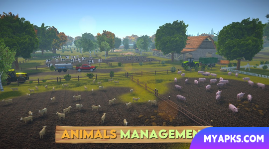 Farm Sim 2024