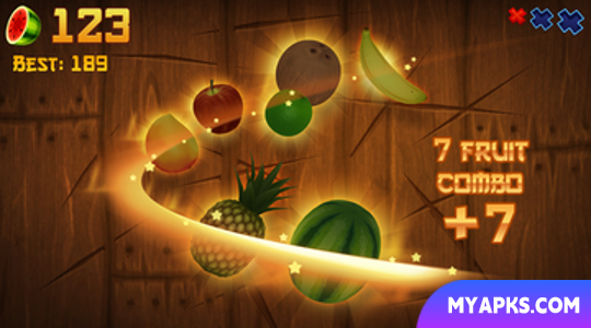 Fruit Ninja