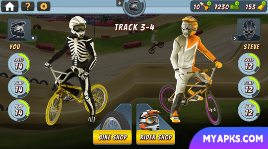 Mad Skills BMX 2 