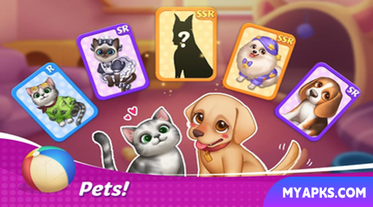 Cooking Wonder Kitchen Dash