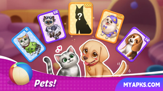 Cooking Wonder Kitchen Dash