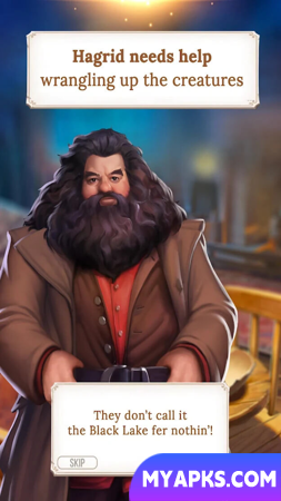 Harry Potter Puzzles Spells