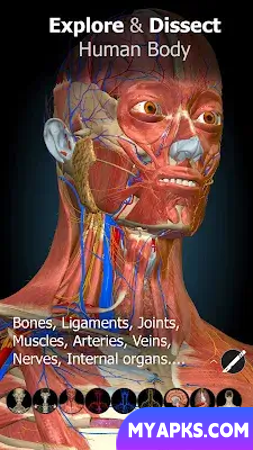 Anatomy Learning - 3D Anatomy