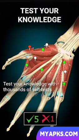 Anatomy Learning - 3D Anatomy