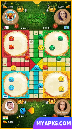 Ludo King™ 