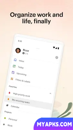 Todoist: to-do list & planner