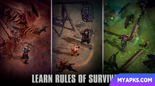 Exile Survival