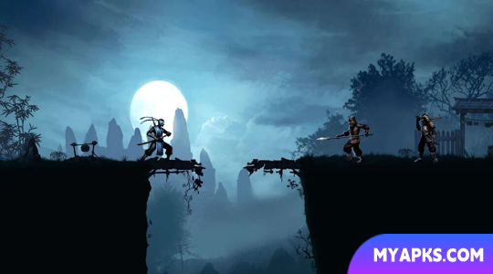 Ninja Warrior